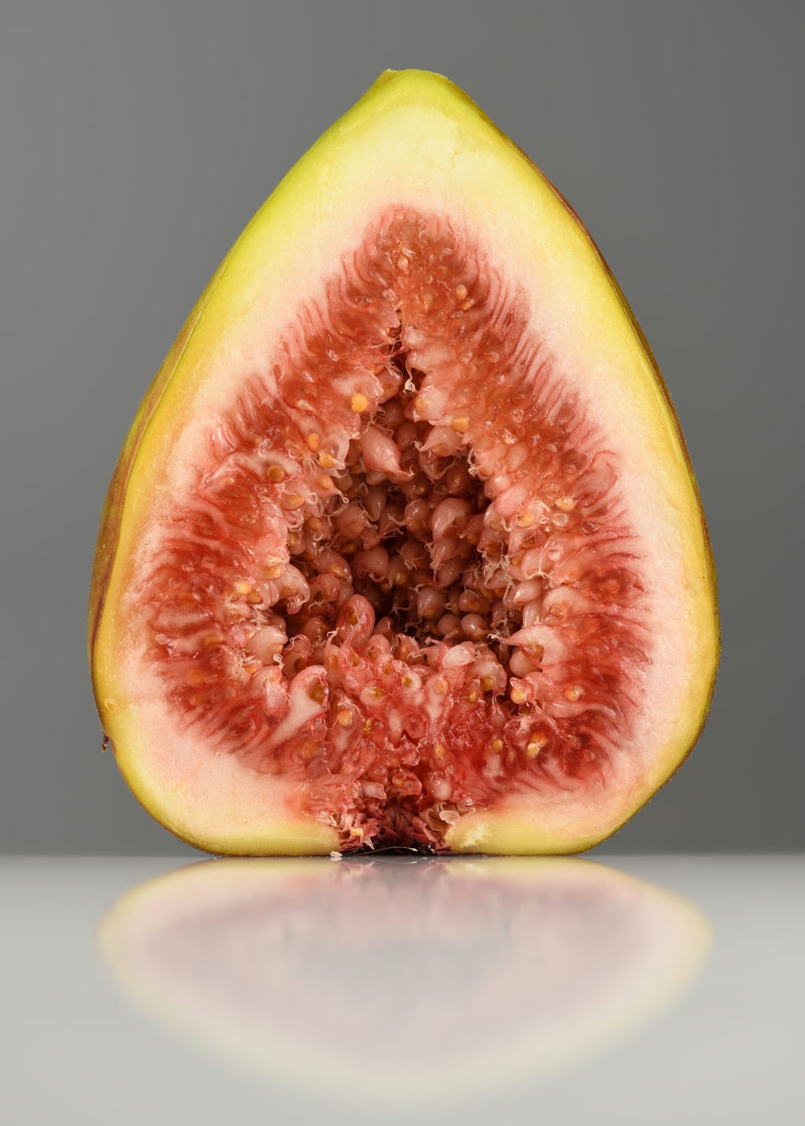 Fig Tree