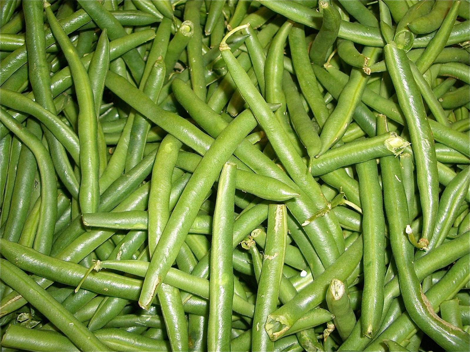 Green Bean thumbnail 2