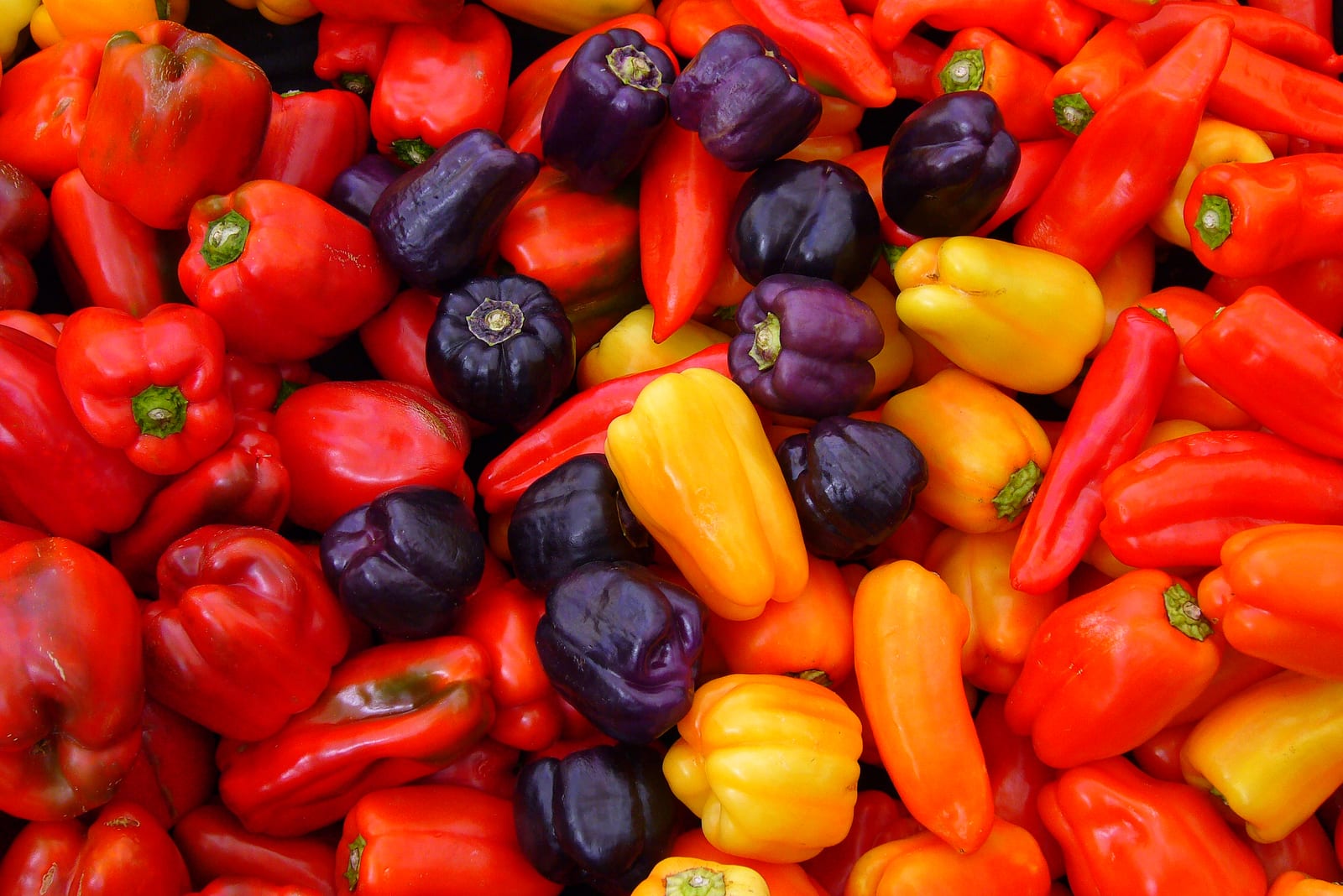 Hot Pepper thumbnail 4