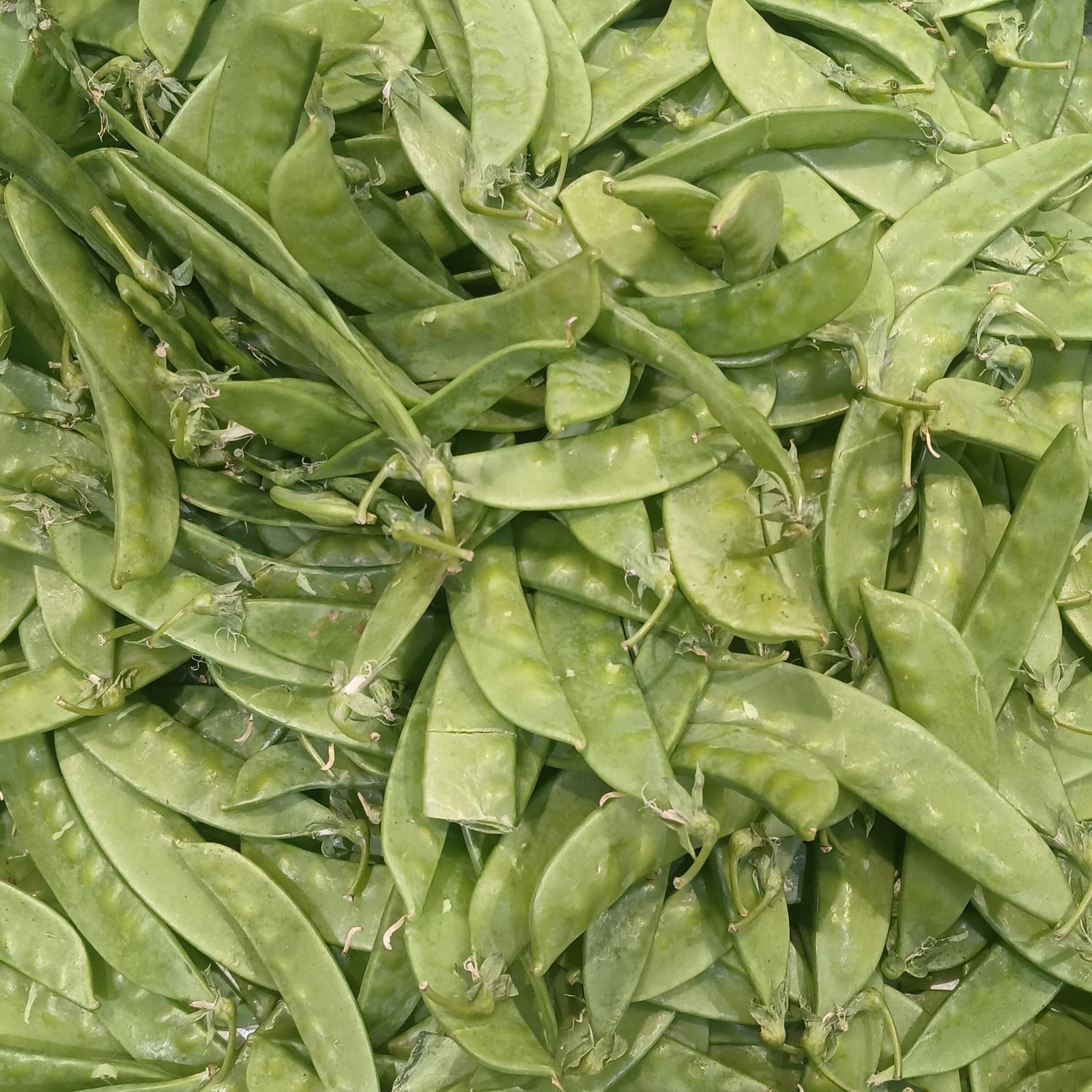 Peas thumbnail 2