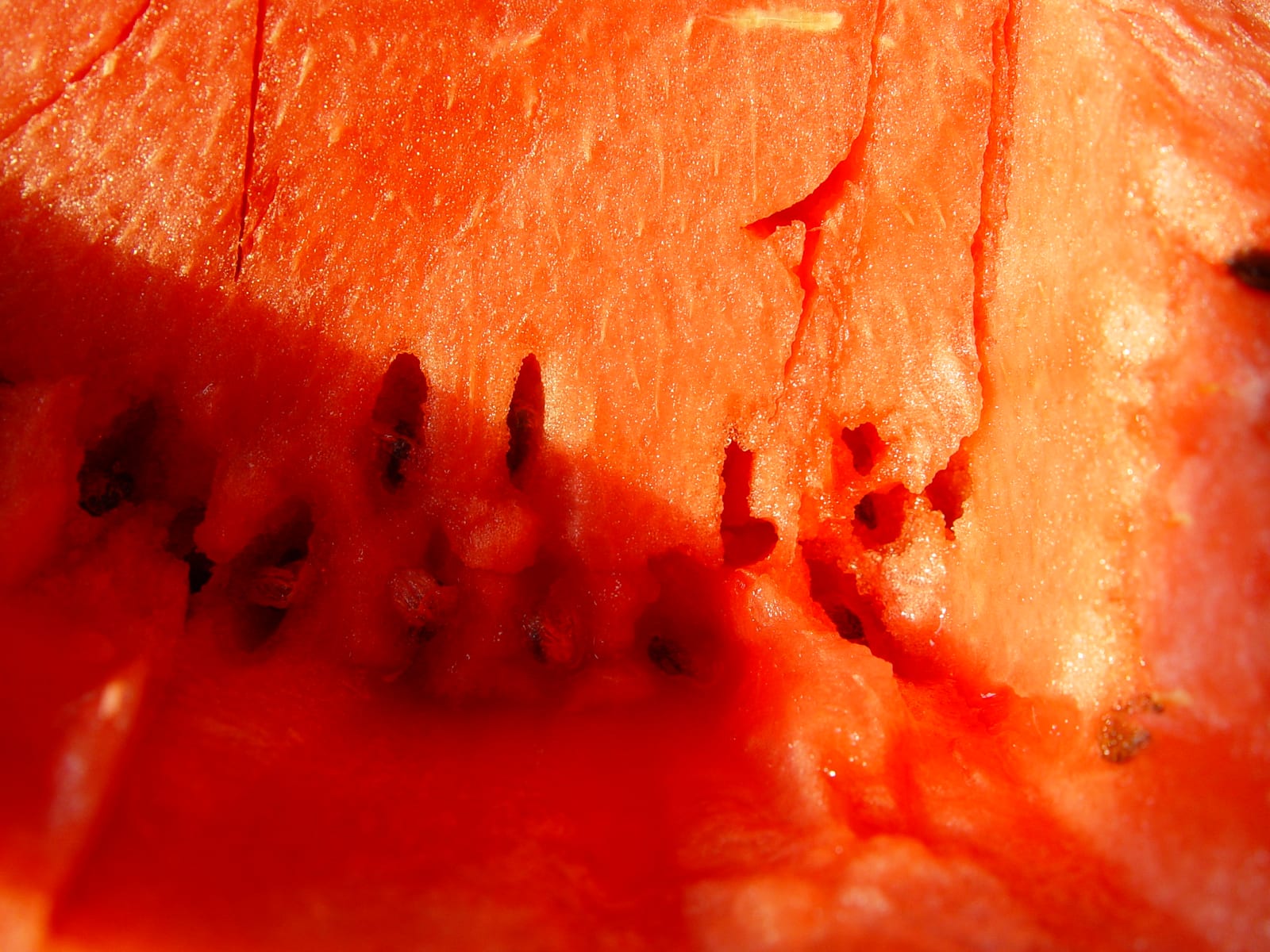 Watermelon thumbnail 4